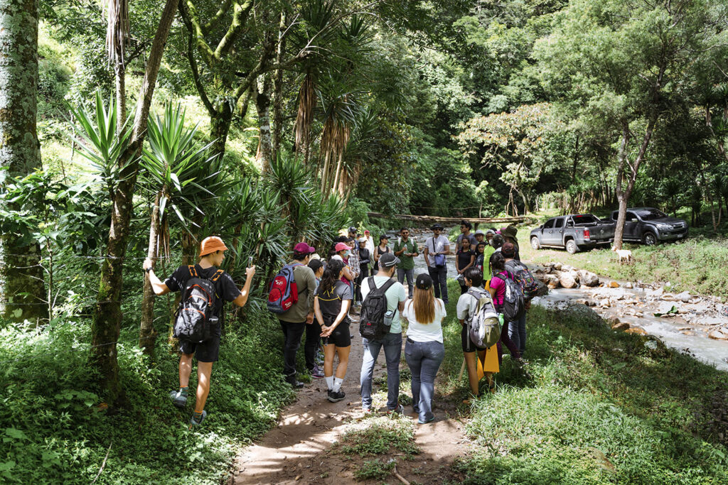 Voluntariado - OPPORTUNITREE