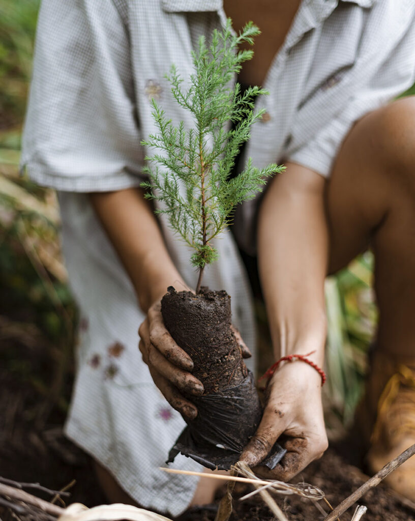 Voluntariado - OPPORTUNITREE